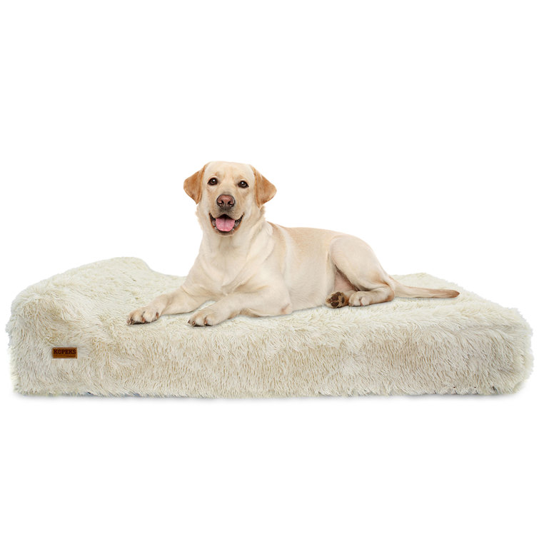 Kopeks Orthopedic Memory Foam Fluffy Bolster Tan Wayfair Canada